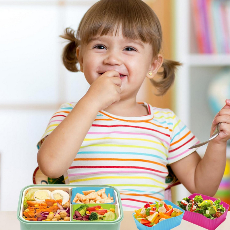 Divisórias de silicone para la - Bento Box avaliação e preço