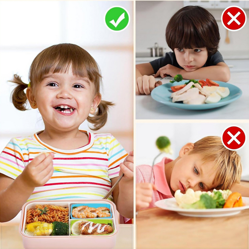 Divisórias de silicone para la - Bento Box avaliação e preço